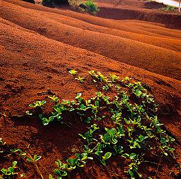 B社《星空》任务设计师跳槽到《废土》工作室